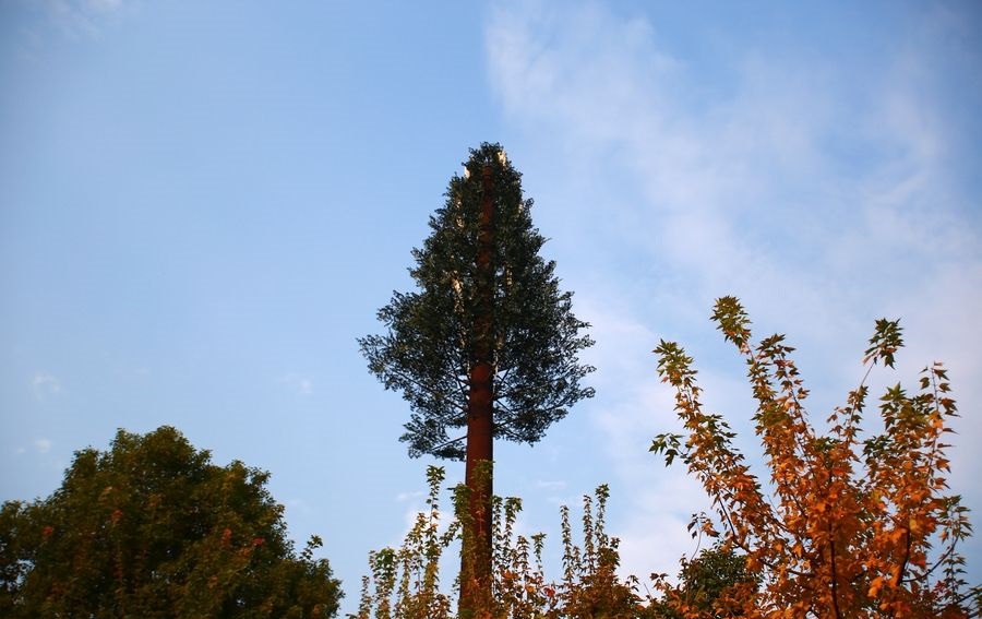 生產(chǎn)基地